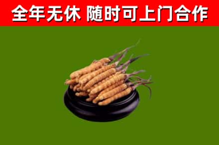 台北市烟酒回收冬虫夏草.jpg
